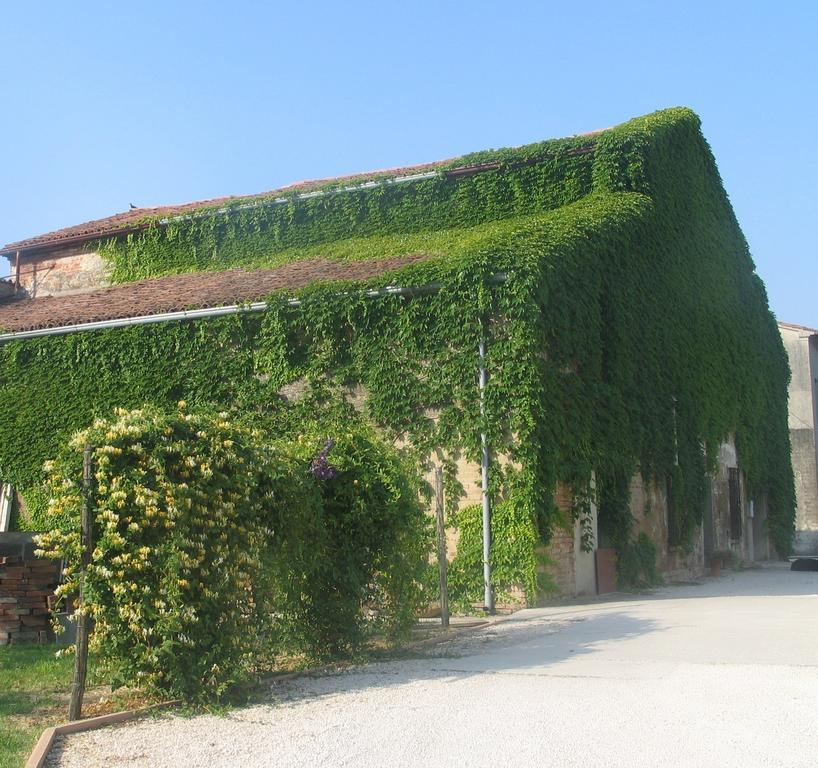 Agriturismo Ca Rossa Пегоньага Экстерьер фото